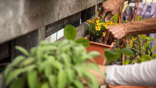 Zwei Personen gärtnern auf einer Terrasse Zwei Personen gärtnern auf einer Terrasse