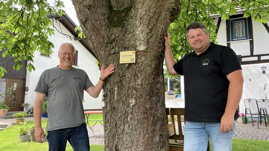 Michael Gruner (erster Beigeordneter, von links) und Bürgermeister Nicolas Ahrend stehen neben dem ersten "Dorf-Ehrenbaum" im Or