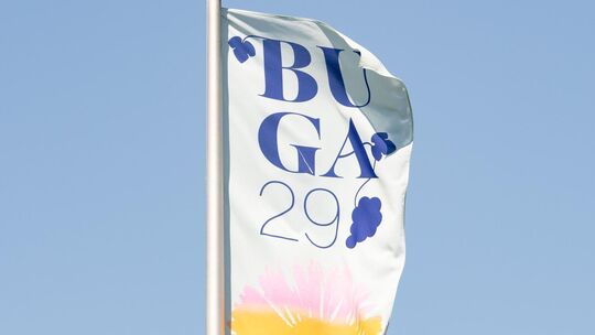 2029 findet die Bundesgartenschau im Oberen Mittelrheintal statt.
