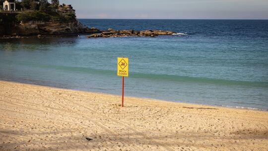 Frau in Sydney bei Hai-Angriff lebensgefährlich verletzt Frau in Sydney bei Hai-Angriff lebensgefährlich verletzt