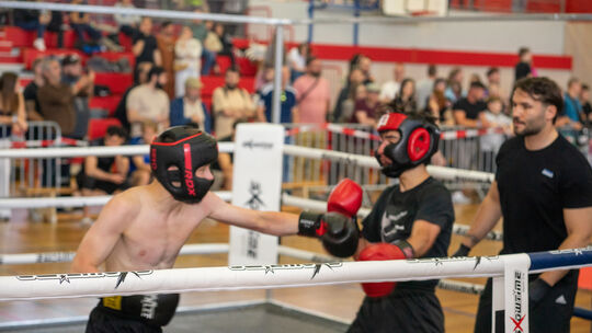 Die Sporthalle am Schulzentrum Karthause verwandelte sich beim Coblenz Open in eine Arena für Kampfsport mit rund 180 Teilnehmer