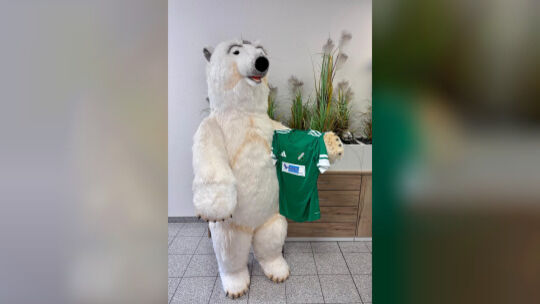 Der Eisbär von Schumann Kältetechnik trägt grün. Die Firma bleibt fünf weitere Jahre Hauptsponsor von Alemannia Waldalgesheim.