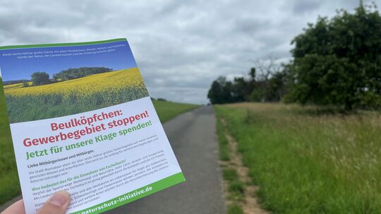 Die NI kündigt in einem Flyer an, gegen die Ausweisung eines Gewerbegebiets "Ober dem Beulköpfchen" zu klagen.