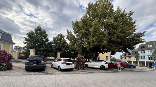 Einzelne Plätze sind nun durch Blumenkübel vor Falschparkern geschützt – die Plätze dazwischen werden weiterhin als Stellpläte m