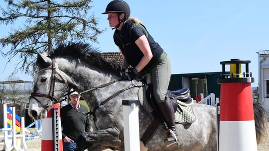 Der Reitverein Dierdorf präsentiert spannenden Pferdesport.