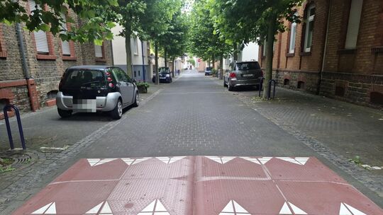 Die „Berliner Kissen" wurden kürzlich installiert. um hohe Geschwindigkeiten von Verkehrsteilnehmern „Im Flürchen“ zu verhindern