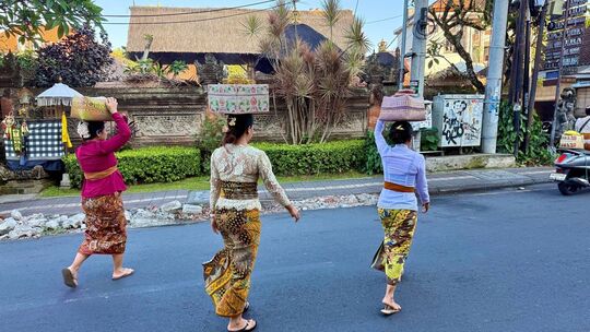 «Galungan»-Fest auf Bali «Galungan»-Fest auf Bali