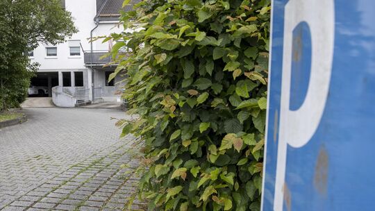 In einem Parkhaus in Bad Marienberg wurde vor wenigen Tagen ein junges Pärchen brutal von einer achtköpfigen Tätergruppe überfal