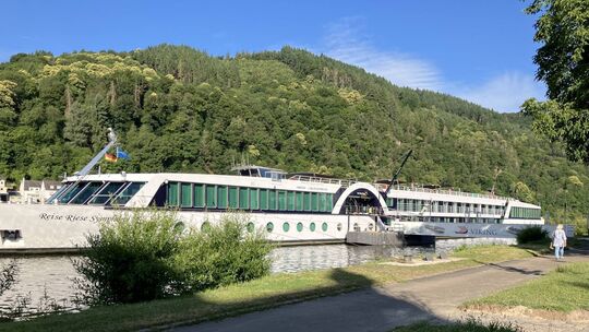 Manchen Anwohnern in Traben-Trarbach sind die großen Flusskreuzfahrtschiffe ein Dorn im Auge. (Archivfoto)