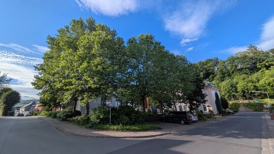 Wie steht es um die Bäume in der Stadt Daaden? Das soll mittels der Erstellung eines Baumkatasters ermittelt werden. Wie steht es um die Bäume in der Stadt Daaden? Das soll mittels der Erstellung eines Baumkatasters ermittelt werden.