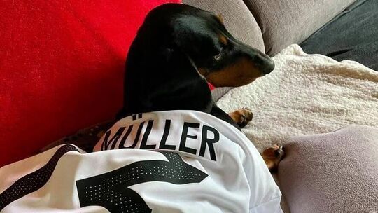Dackel Amy Müller mit Trikot von Thomas Müller, das Redakteurin Vera Müller in Ehren hält.