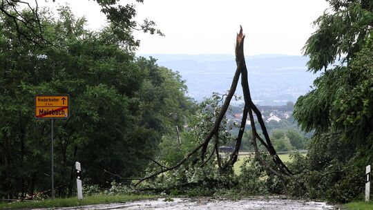 Ein riesiger Ast versperrt bei Melsbach die Straße.