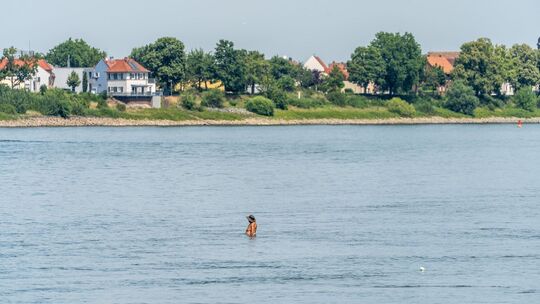 Drei Männer nach Schwimmen im Rhein vermisst