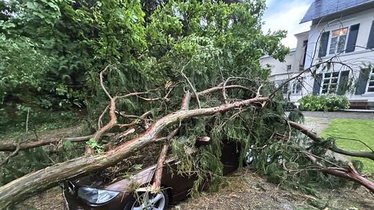 Beim Unwetter am Freitagabend ist in Neuwied-Niederbieber auch ein Baum auf ein Auto gestürzt.