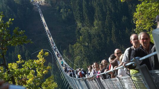 Sieht es so – wie hier auf der Geierlay im Hunsrück – bald im Ewigbachtal in Boppard aus?