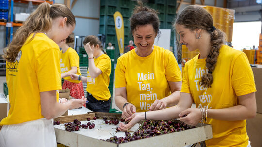 Auf dem Kastanienhof in Mainz beteiligten sich viele Schülerinnen und Schüler an der Ernte - eine Initiative von vielen im Rahme Auf dem Kastanienhof in Mainz beteiligten sich viele Schülerinnen und Schüler an der Ernte - eine Initiative von vielen im Rahme