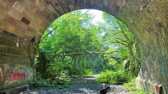 Knapp dreihundert Meter, wo die Sonne nie hin leuchtet: der Kinnsfelstunnel zwischen Oberhausen und Odernheim