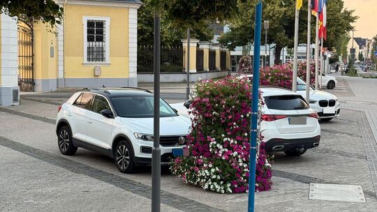 Es gehört schon etwas Fantasie dazu, den Bereich hinter dem Blumenkübel als Parkplatz zu interpretieren. Die besitzen aber manch