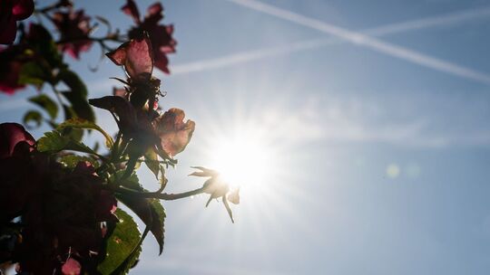Wetter