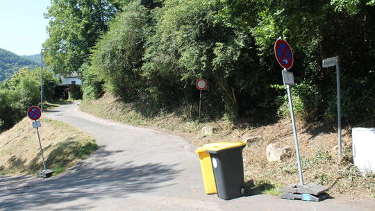 In Bad Ems soll die Bergstraße ab der Einmündung zum Ehrlichweg ausgebaut werden. Zu dem Vorhaben gab es nun Kritik von einer Bü