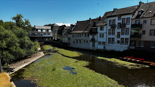 Algenteppich und gefährlich geringer Sauerstoffgehalt. Der Mühlenteich unterhalb der Brückenhäuser schaut nicht gut aus. Immerhi