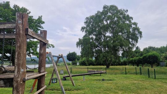 An den Rhein-Spielplatz in Braubach grenzt eine große Wiese. Früher war hier ein Minigolf-Platz. Nun denkt die Stadt darüber nac