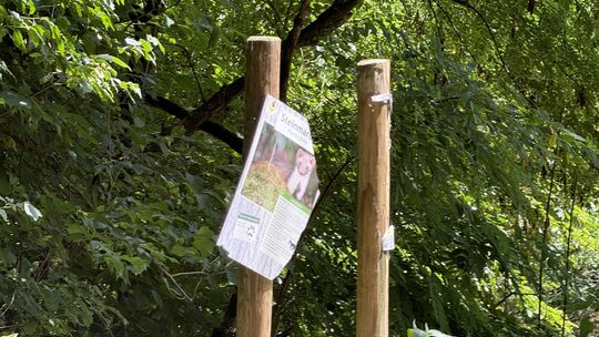Mutwillig sind Schilder zu heimischen Waldtieren und Insekten an dem kleinen Lehrpfad der IGS Zell abgerissen worden.