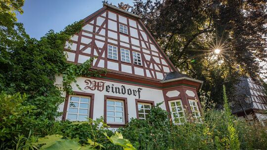 Das Weindorf in Koblenz soll in den kommenden Jahren umfassend saniert werden.