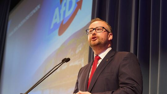 Parteitag AfD Rheinland-Pfalz mit Vorstandswahlen