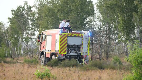 Waldbrand Gohrischheide