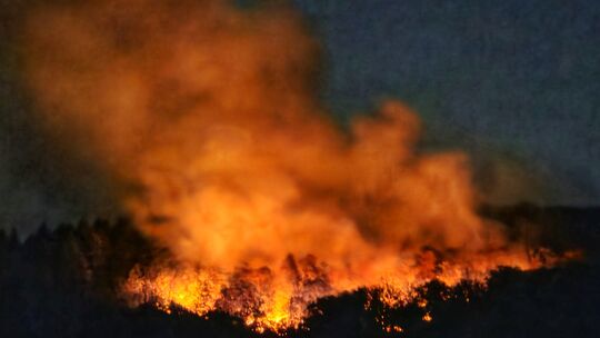 Feuer am Rotelfenls: Der ganze Bergrrücken nahe Traisen steht in Flammen.