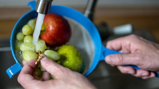 Obst wird unter fließendem Wasser gewaschen