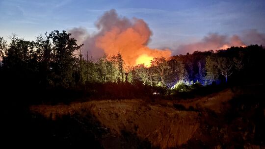 Das Feuer wütete hinter dem Steinbruch bei Traisen.
