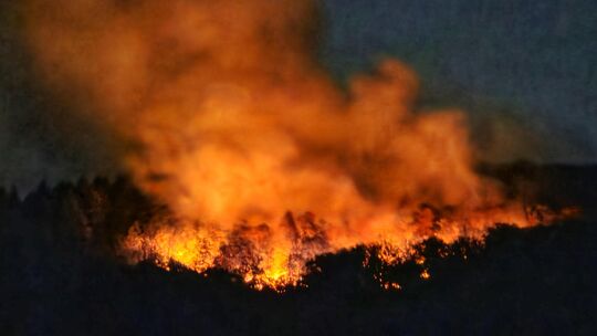 Am Samstagnachmittag, 27. Juni, ist aus bislang ungeklärter Ursache ein Feuer im Wald bei Traisen ausgebrochen. Im betroffenen A