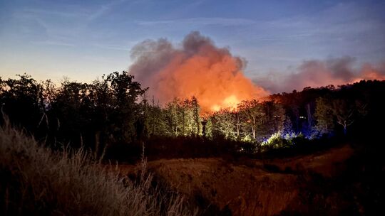 Aufgrund des Waldbrandes in Traisen mussten bisher rund 650 Personen evakuiert werden.