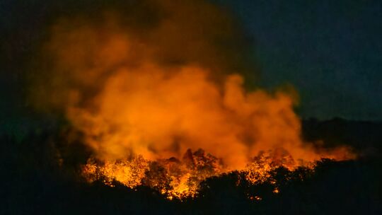 In der Nacht zu Sonntag steht der Wald bei Traisen in Flammen. Als die Feuerwehr die Flammen löschen wollte, stieß sie auf Munit