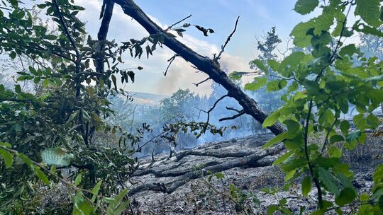 Auch am Waldweg vom Steinbruch hinunter zur alten Hüffelsheimer Straße war Rauch zu sehen.