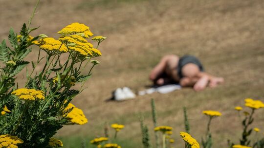 Sommerwetter