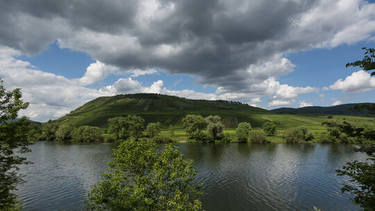 An den Hängen der Zeller und Briedeler Weinberge soll der Ferienpark Marina Weingarten gebaut werden.