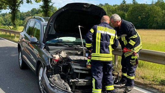 Zwei Pkw kollidierten wegen eines Reifenplatzers auf der B54 beim Tierheim Diez.