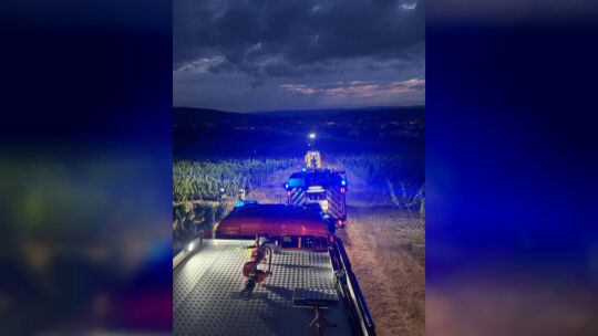 In die Weinberge oberhalb der Humperdinckstraße rückte die Bad Kreuznacher Feuerwehr am Dienstagabend aus: Dort war ein Flächenb
