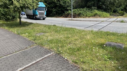 Um diese Querung der Brauereistraße mit der Brexbachtalbahn geht es beim Rechtsstreit zwischen der EVG und der Stadt Bendorf.