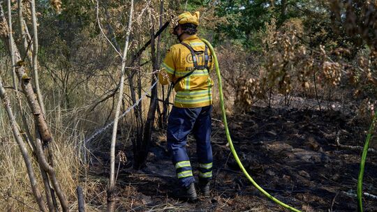 Den Einsatzkräften beim Waldbrand bei Traisen machen nicht nur die Flammen Kopfzerbrechen. Im Waldboden schlummern Munitionsrest