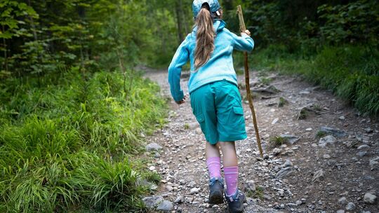 Ein Kind wandert durch einen Wald Ein Kind wandert durch einen Wald