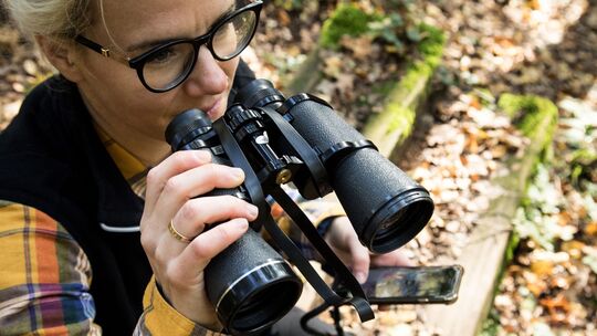 Eine Frau beobachtet die Tierwelt mit dem Fernglas Eine Frau beobachtet die Tierwelt mit dem Fernglas