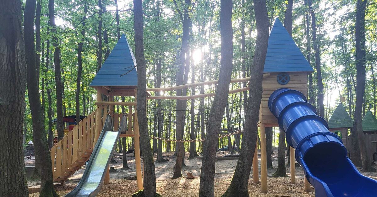 Attraction at the forest playground: New double slide in the ...