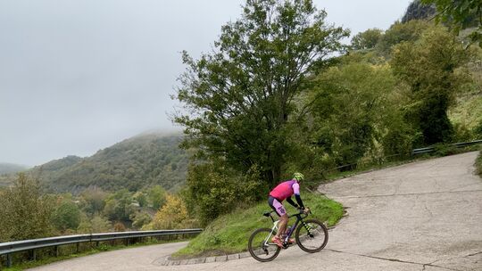 Die Betonstraße vom Niederthälerhof nach Schloßböckelheim ist mit 19 Prozent eine ziemlich giftige Angelegenheit...