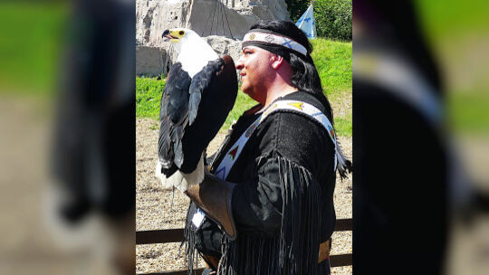 Alexander Klein ("Weißer Biber") und "Oka", der südafrikanische Schreiseeadler, der bei den Aufführungen über die Köpfe der Besu