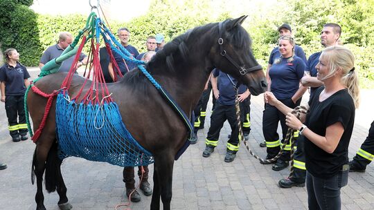 Wie kann ein Pferd in Not fachgerecht gerettet werden? Dies lernten die Kräfte der Freiwilligen Feuerwehr in Großmaischeid.
