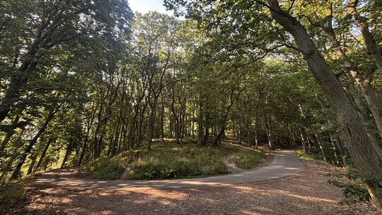 Kehre vor dem Forsthaus Heiligkreuz.